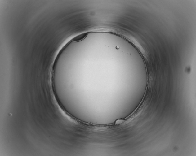 X0000101121484200807241147