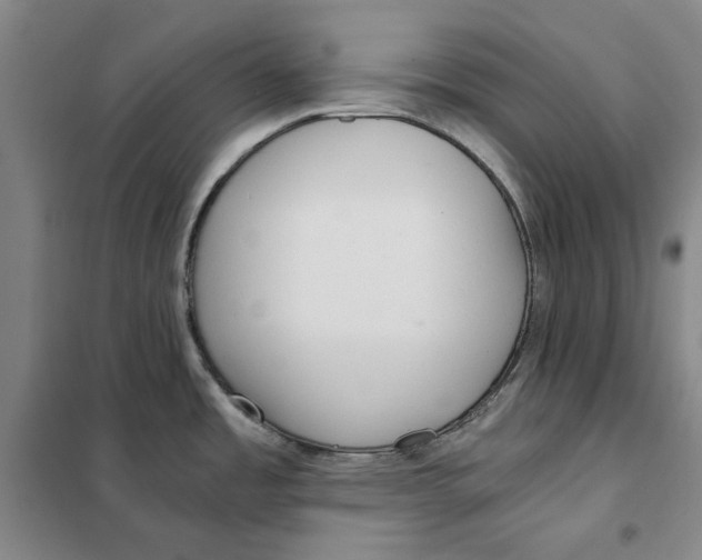 X0000101121485200807241147