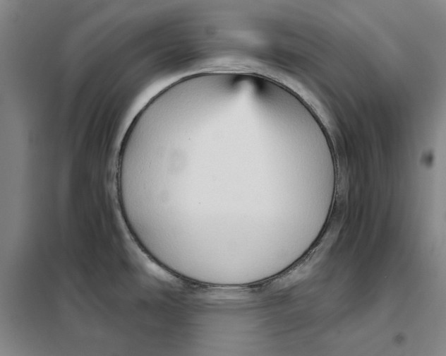 X0000101121486200807241147