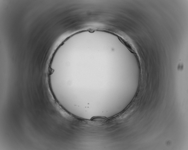 X0000101121488200807241147