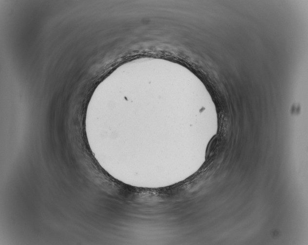 X0000101121489200807241146
