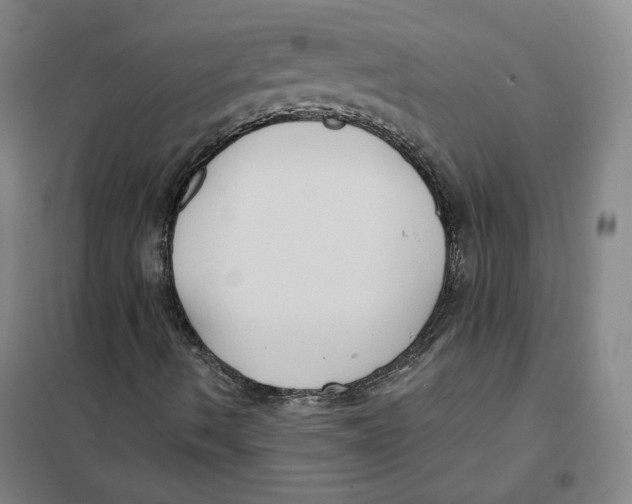 X0000101121490200807241146