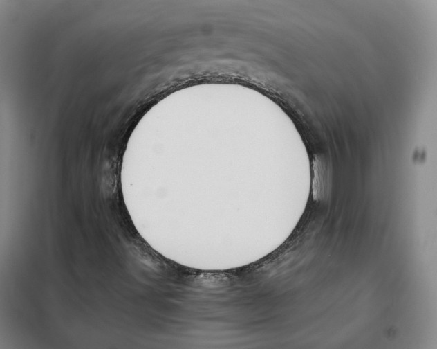 X0000101121491200807241146