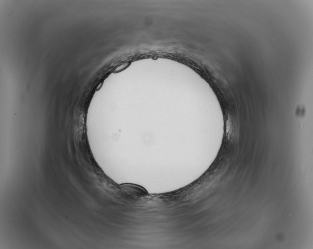 X0000101121492200807241147