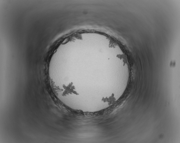 X0000101121494200807241147