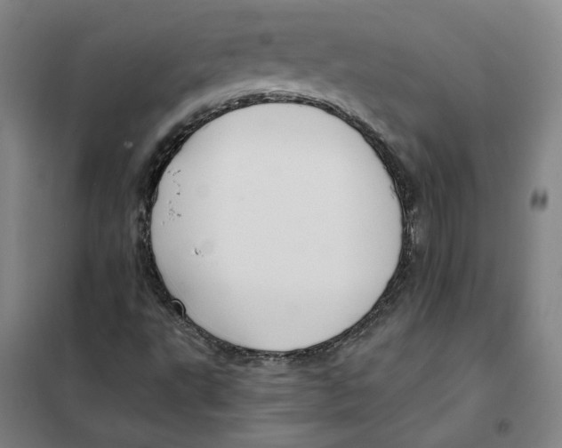 X0000101121495200807241147