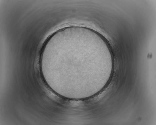 X0000101121498200807241147