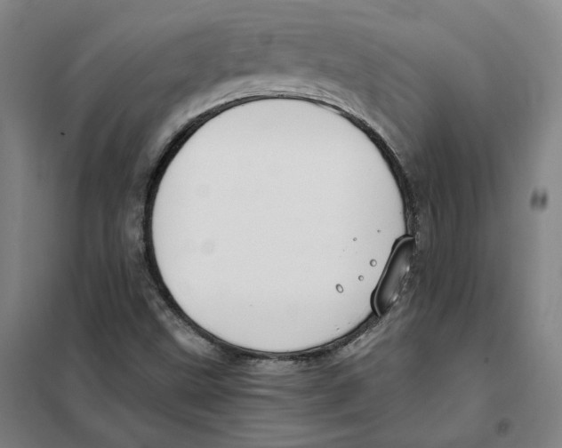 X0000101121499200807241147