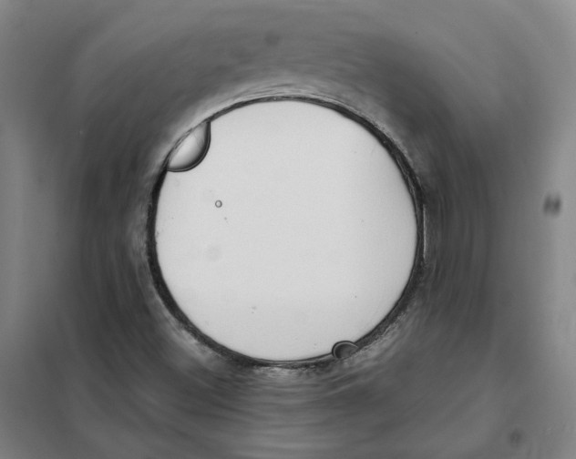X0000101121500200807241147