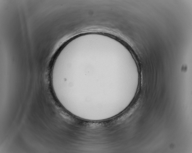 X0000101121501200807241147