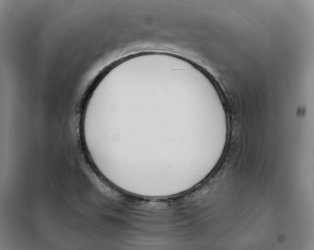 X0000101121503200807241147