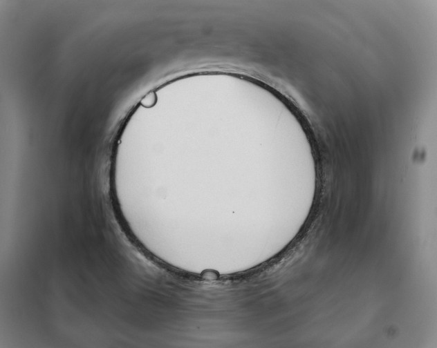 X0000101121504200807241147