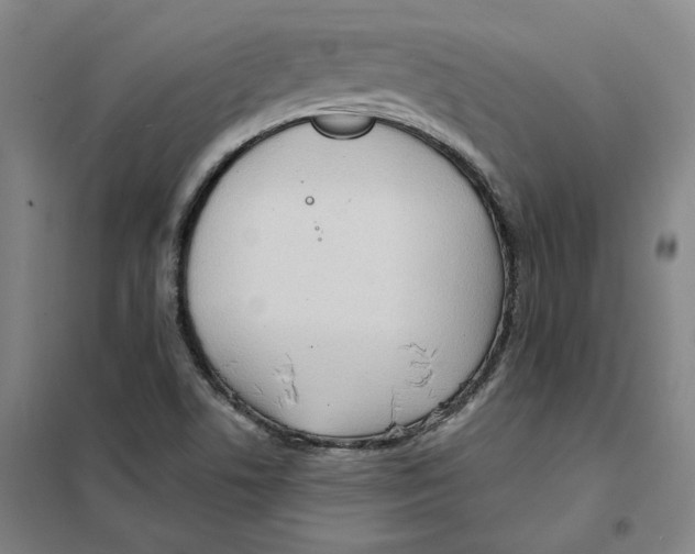 X0000101121506200807241147