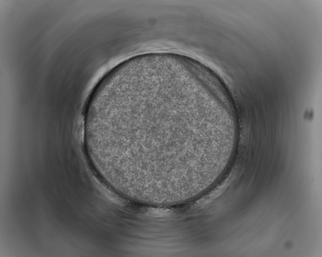 X0000101121509200807241147