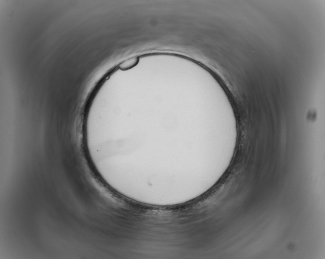 X0000101121511200807241147