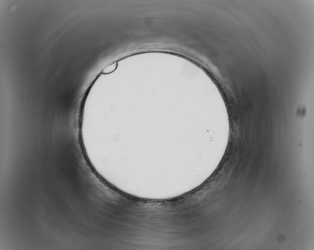 X0000101121512200807241147