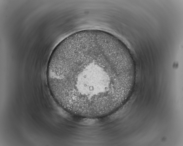 X0000101121513200807241147
