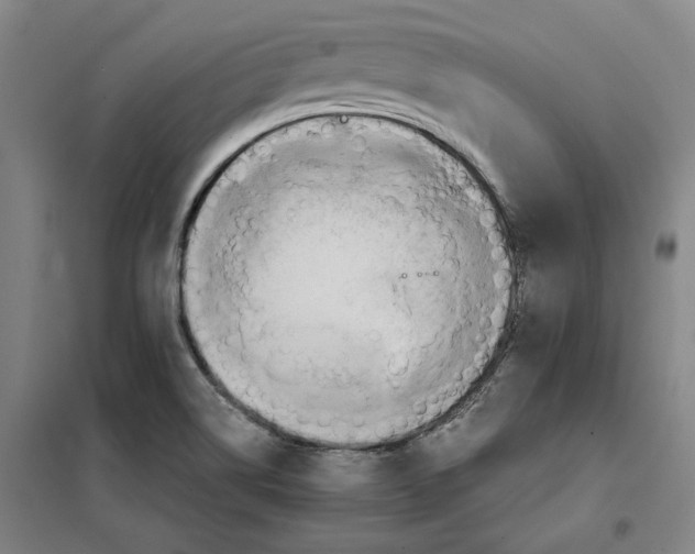 X0000101121514200807241147