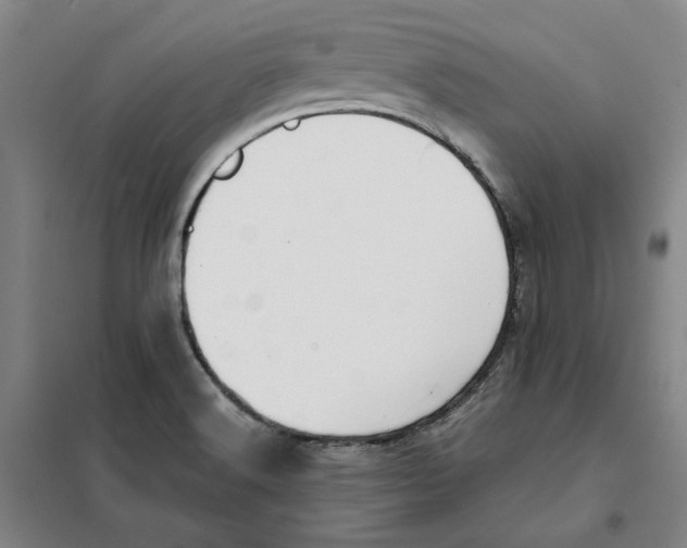 X0000101121516200807241147