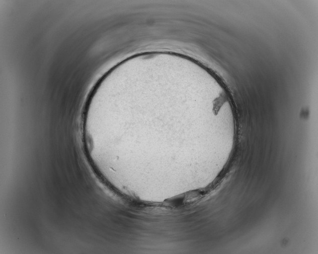 X0000101121517200807241147