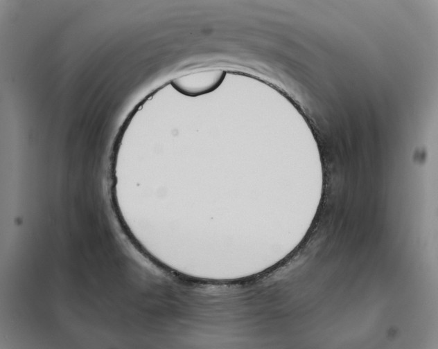 X0000101121518200807241147