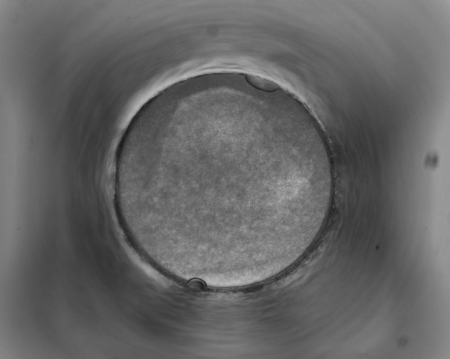 X0000101121519200807241147