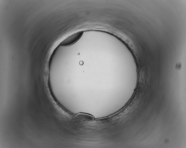 X0000101121520200807241147