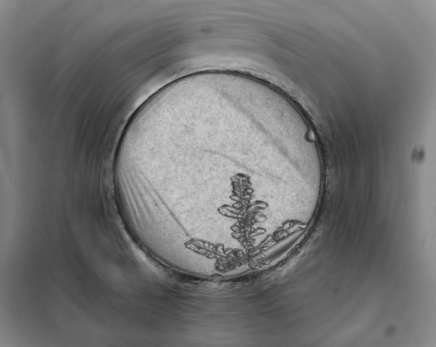 X0000101121521200807241147