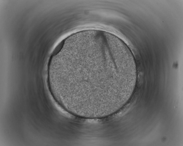 X0000101121523200807241147