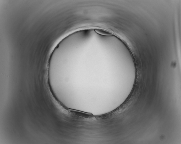 X0000101121524200807241147
