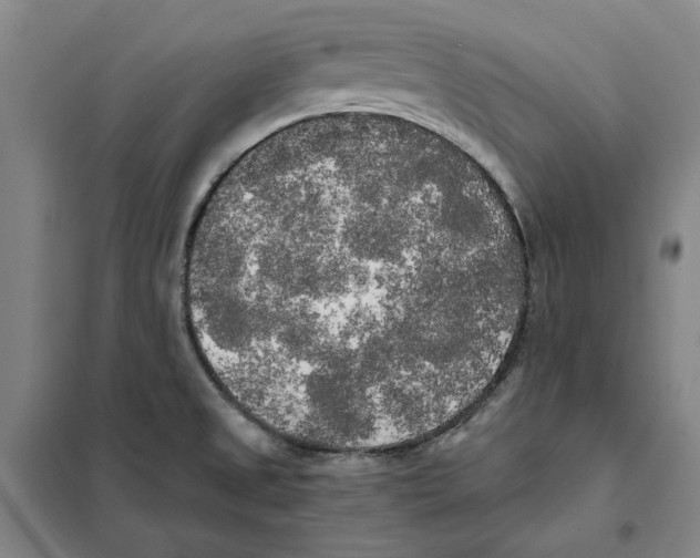 X0000101121525200807241147