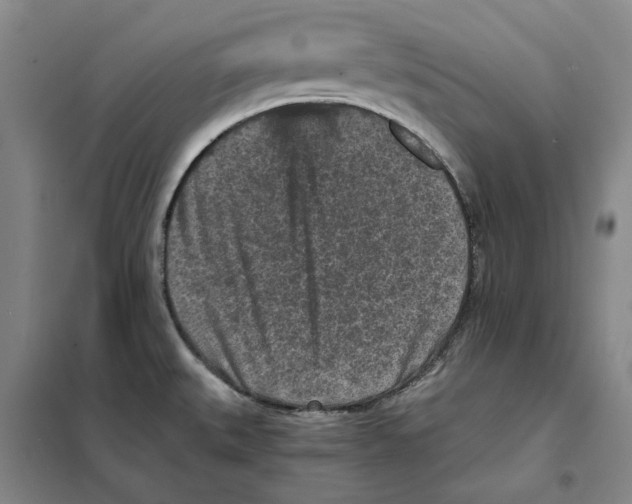 X0000101121527200807241147