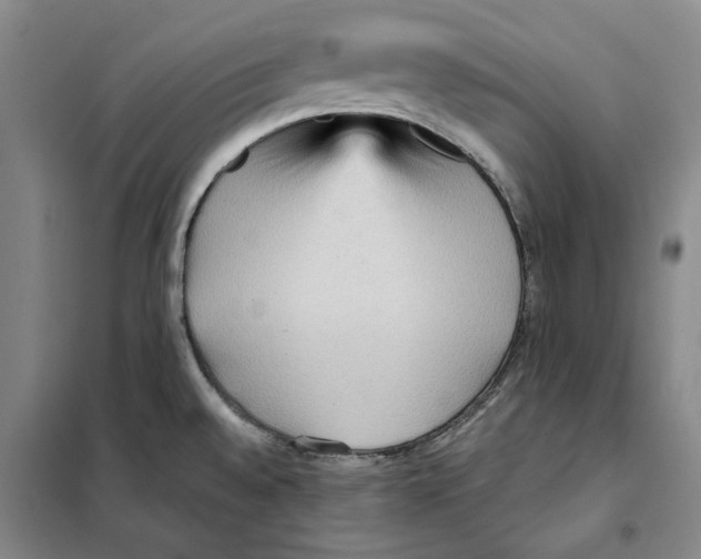 X0000101121528200807241147