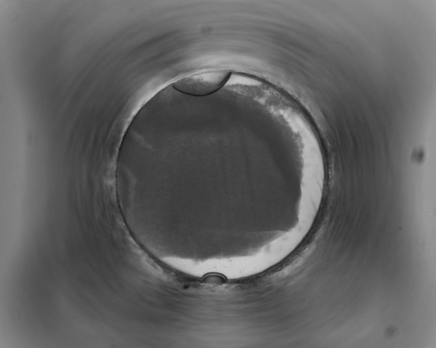 X0000101121529200807241147