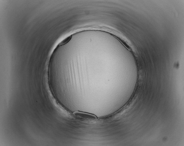 X0000101121530200807241147