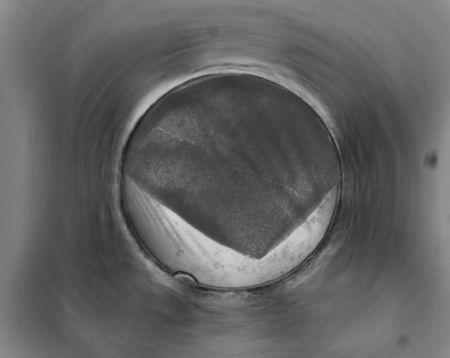 X0000101121533200807241147