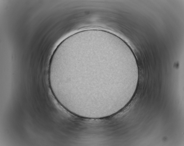 X0000101121534200807241147