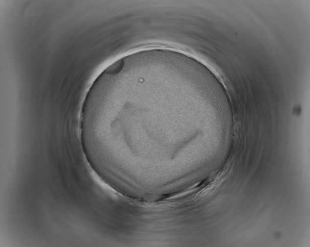 X0000101121535200807241147