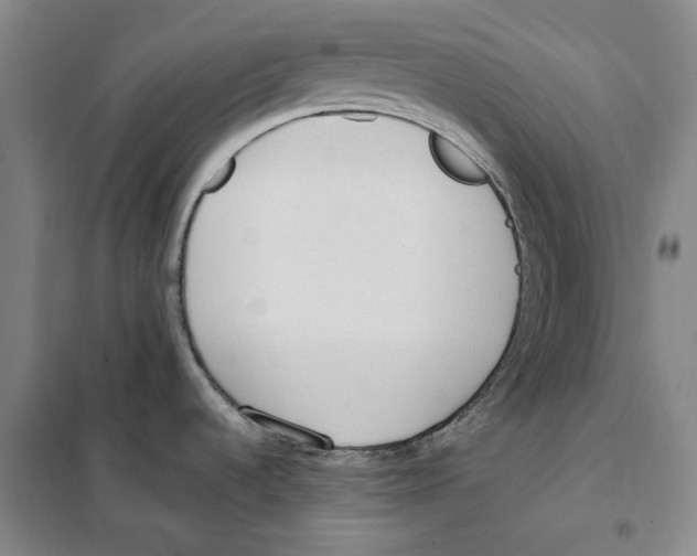X0000101121536200807241147