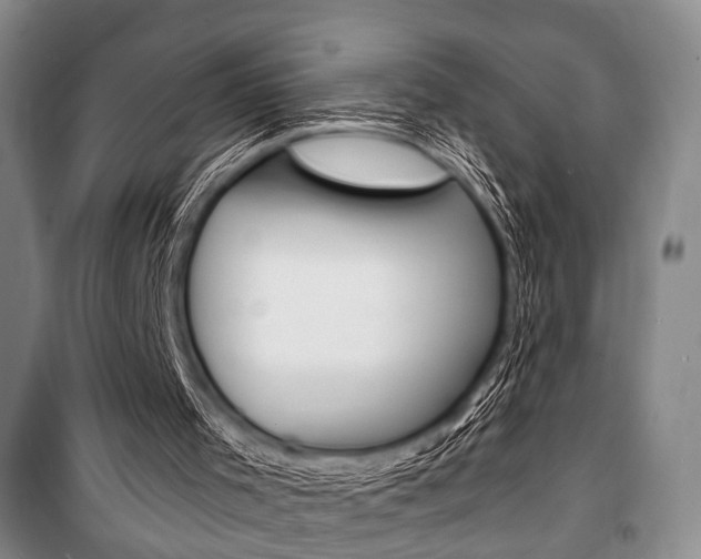 X0000101140001200806270747