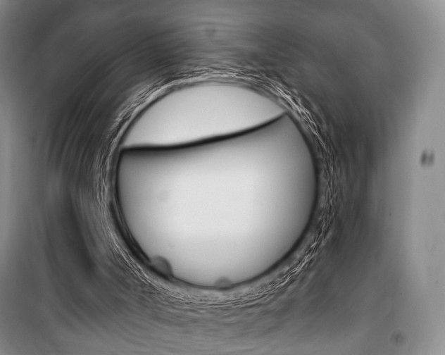 X0000101140002200806270747