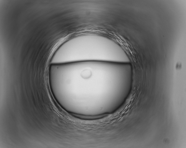 X0000101140003200806270747