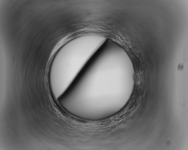 X0000101140004200806270747