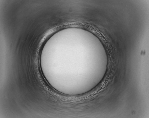 X0000101140006200806270747