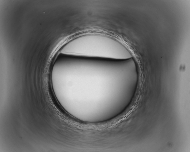 X0000101140007200806270747