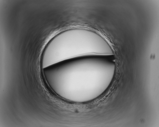 X0000101140008200806270747