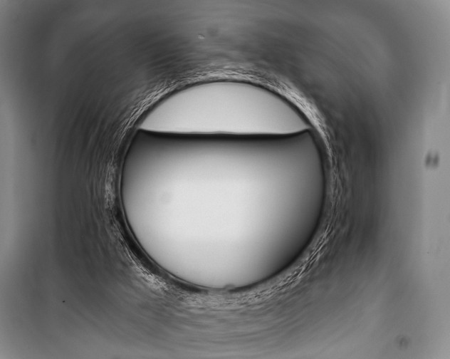 X0000101140009200806270747