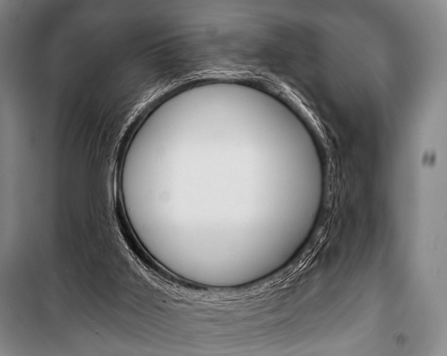 X0000101140011200806270747