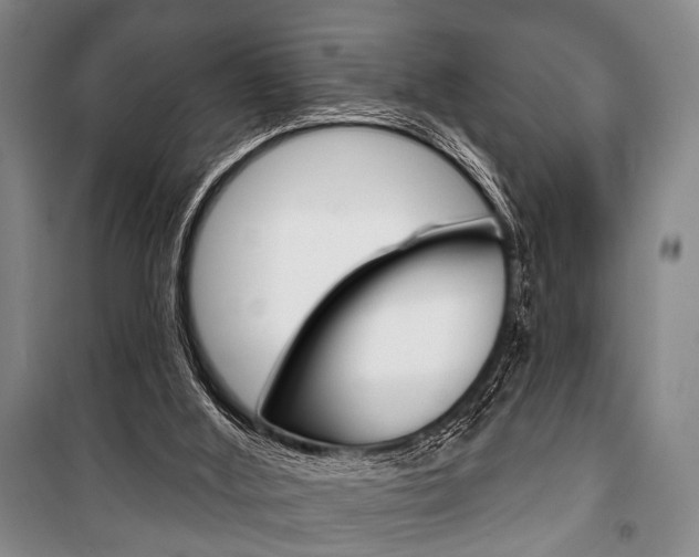 X0000101140012200806270747