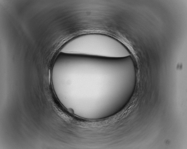 X0000101140013200806270747